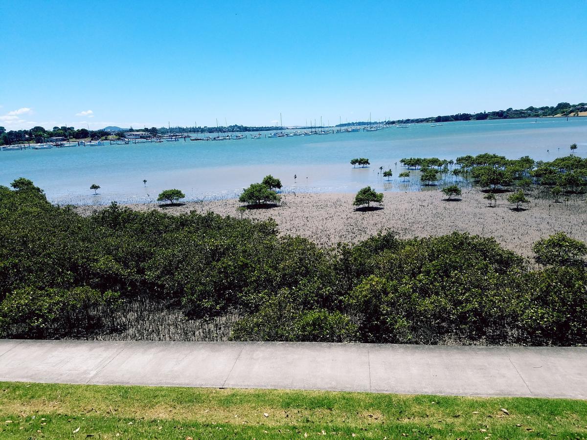 New Smart Home Nearby Plaza Auckland Eksteriør bilde